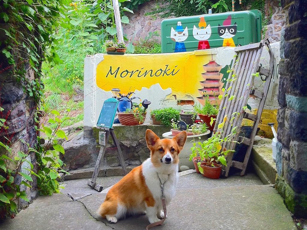 The Otaornai Backpacker'S Hostel Morinoki Otaru Dış mekan fotoğraf